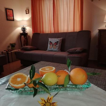 Apartment Marina Слатине Экстерьер фото